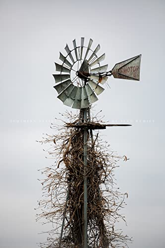 Снимка на страната Печат (Без рамка) Вертикално изображение вятърна мелница Aermotor, увитой лози, в Оклахома, Стенно изкуство във