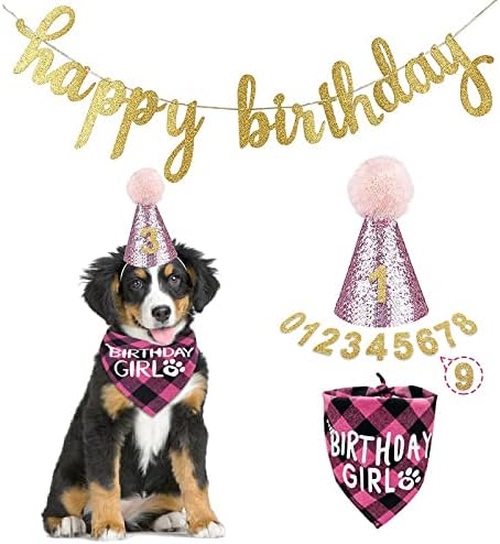 ENJOYING Кърпа за домашни Кучета, Стоки за Парти в чест на рождения Ден на Кучето, Изпъстрен Кърпи за Кучета, Шал, Шапка за рождения